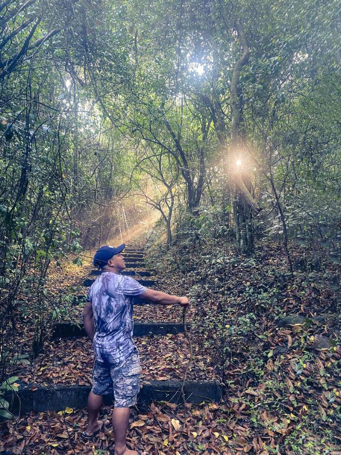 Momarco Forest Cove Tanay Buitenkant foto