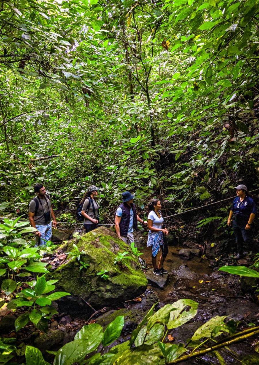 Momarco Forest Cove Tanay Buitenkant foto