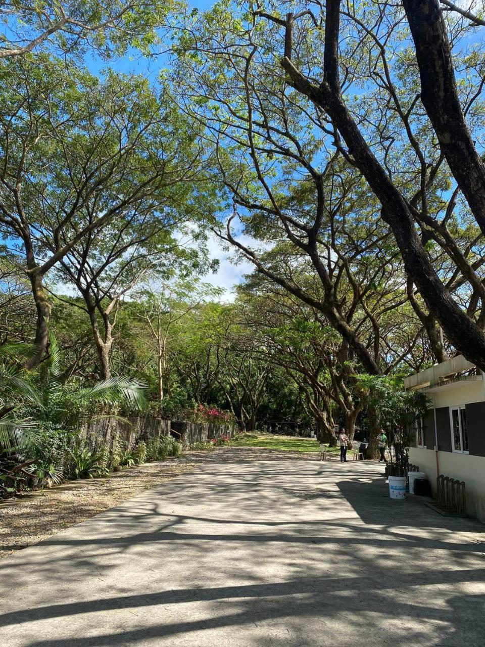Momarco Forest Cove Tanay Buitenkant foto