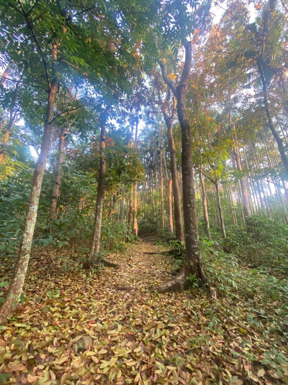 Momarco Forest Cove Tanay Buitenkant foto